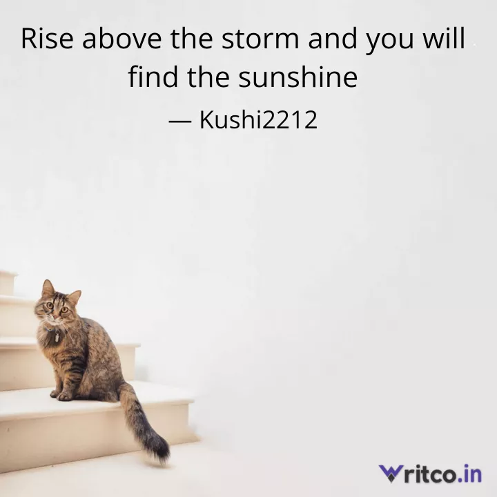 Quotes — Rise above the storm and you will find the