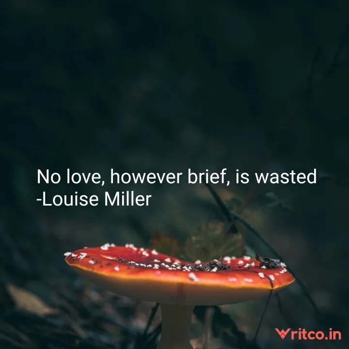 No love, however brief, is wasted -Louise Miller
