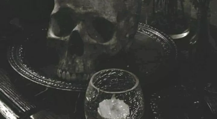 Skull Candle Black & White